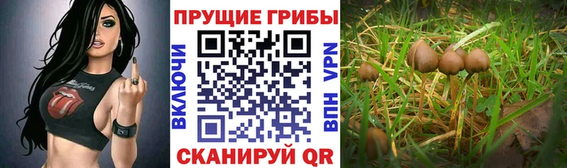 где купить наркоту  Белинский  Галлюциногенные грибы мухоморы 